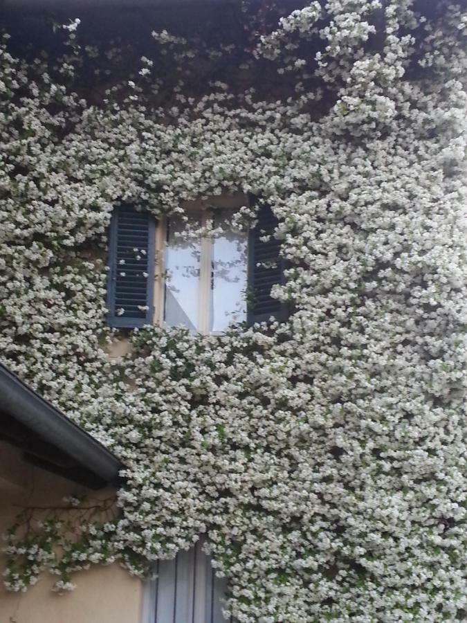 Hotel Antica Cascina Del Medico Muzzano Exteriér fotografie